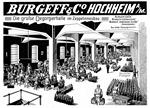 Burgeff 1910 180.jpg